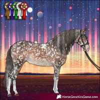 Horse Color:Bay Tobiano Snowflake Varnish 