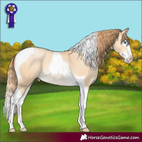 Horse Color:Buckskin Pearl Splash Tobiano 