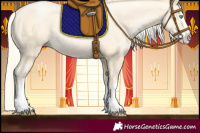 Horse Color:Gold Cream Champagne Pearl Splash 