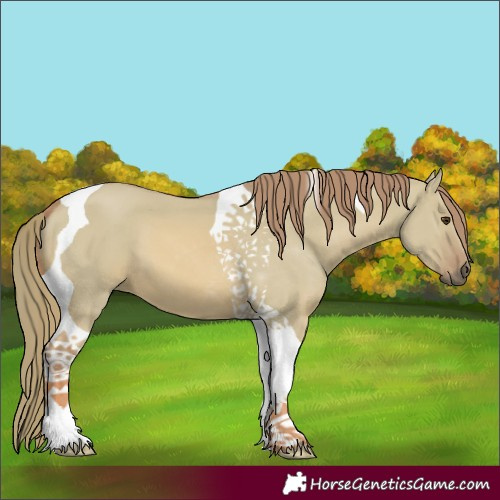 Horse Color:Watercolor Red Dun Tobiano 
