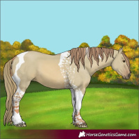 Horse Color:Watercolor Red Dun Tobiano 