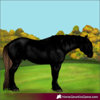 Horse Color:Void Grullo Sabino Varnish 