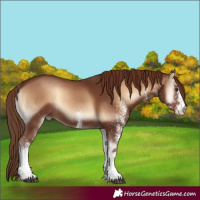 Horse Color:White Spotted Red Onyx 