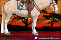 Horse Color:Red Roan Splash 