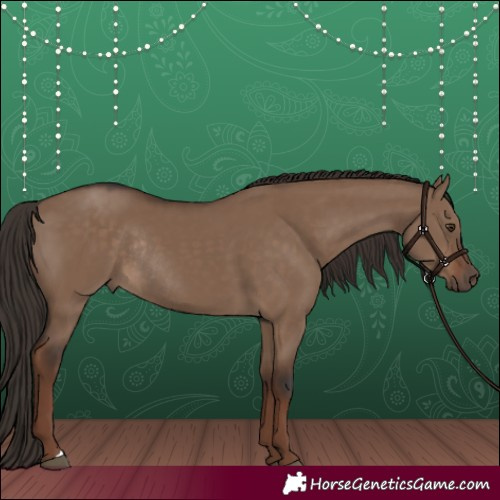 Horse Color:Liver Red Dun Rabicano 