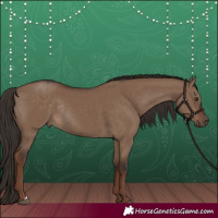 Horse Color:Liver Red Dun Rabicano 