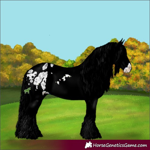 Horse Color:White Spotted Brown Chinchilla Ice Sabino Appaloosa 