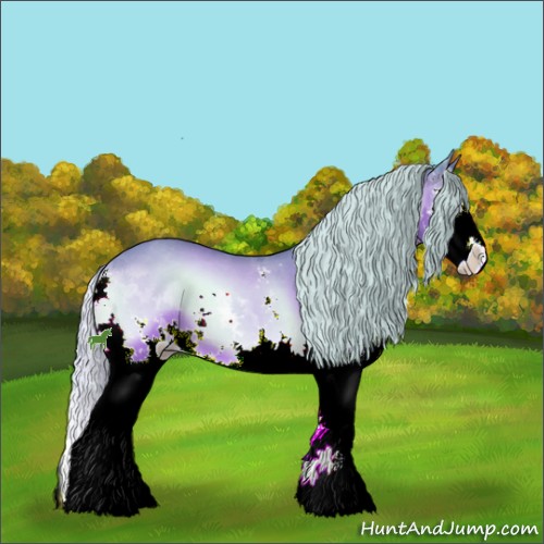 Horse Color:Watercolor Silver Bay Onyx Sabino Splash 