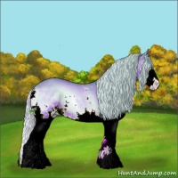 Horse Color:Watercolor Silver Bay Onyx Sabino Splash