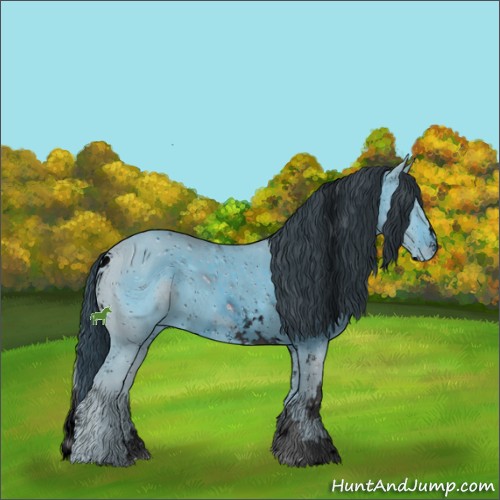 Horse Color:ERROR: UNKNOWN ANOMALY