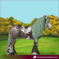 Horse Color:Painted White Spotted Liver Chestnut Ice 