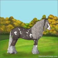 Horse Color:White Spotted Silver Black Splash Rabicano