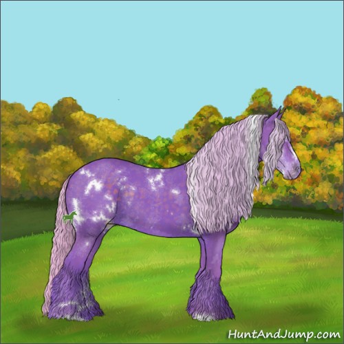 Horse Color:Watercolor White Spotted Silver Black Sabino Rabicano 