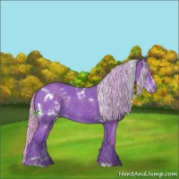 Horse Color:Watercolor White Spotted Silver Black Sabino Rabicano