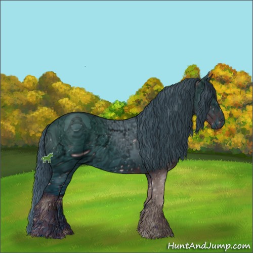 Horse Color:ERROR: UNKNOWN ANOMALY