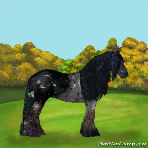 Horse Color:ERROR: UNKNOWN ANOMALY