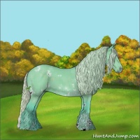 Horse Color:Watercolor White Spotted Chocolate Silver Black Sabino 