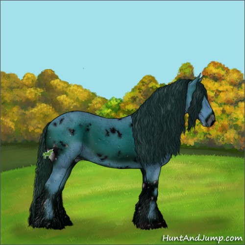 Horse Color:ERROR: UNKNOWN ANOMALY