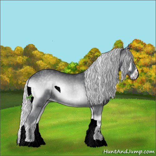 Horse Color:Silver Blue Onyx Chinchilla Sabino 