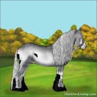 Horse Color:Silver Blue Onyx Chinchilla Sabino 