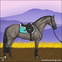 Horse Color:Grullo 