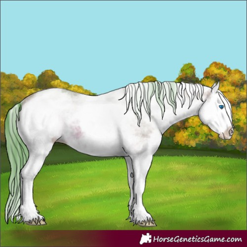 Horse Color:Watercolor White Spotted Bay Splash 