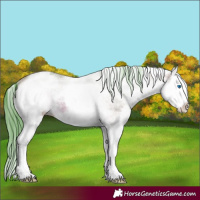 Horse Color:Watercolor White Spotted Bay Splash 