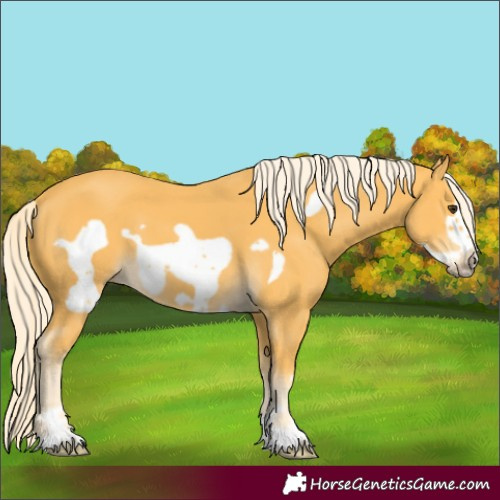 Horse Color:Palomino Frame