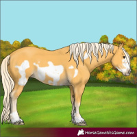 Horse Color:Palomino Frame 