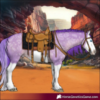 Horse Color:Watercolor Liver Red Dun Ice Splash Frame 
