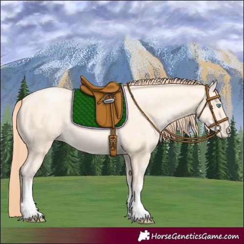 Horse Color:White Spotted Classic Cream Champagne Pearl
