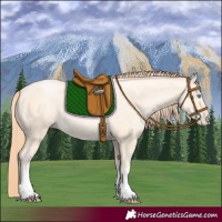 Horse Color:White Spotted Classic Cream Champagne Pearl