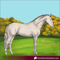 Horse Color:Smoky Creme Splash and Smoky Creme Splash