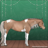 Horse Color:Silver Black Pearl Tobiano 