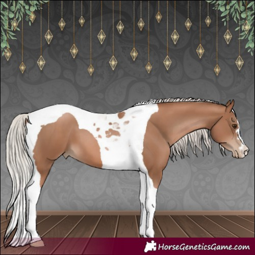 Horse Color:Silver Black Pearl Tobiano 