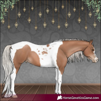 Horse Color:Silver Black Pearl Tobiano