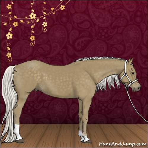 Horse Color:Silver Smoky Black Tobiano 