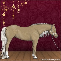 Horse Color:Silver Smoky Black Tobiano 