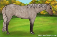 Horse Color:Silver Brown Roan Dun 