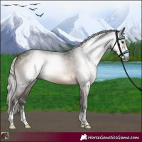 Horse Color:Gray Silver Brown Dun Sabino 
