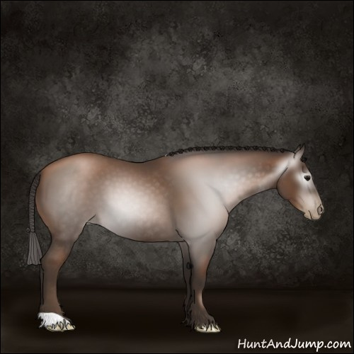 Horse Color:Gray Black Pearl