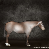 Horse Color:Gray Black Pearl 