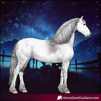 Horse Color:Gray Bay Tobiano Frame Rabicano 