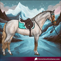Horse Color:Chocolate Palomino Roan Rabicano 