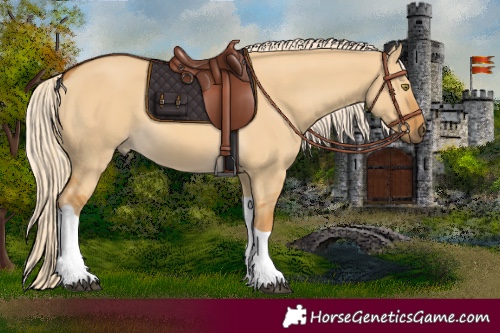 Horse Color:Palomino Dun Tobiano 