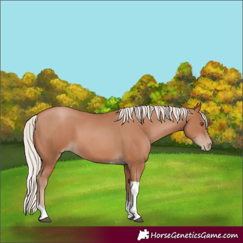 Horse Color:Silver Black Pearl Tobiano 