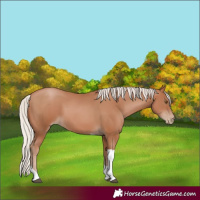 Horse Color:Silver Black Pearl Tobiano 