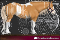 Horse Color:Palomino Splash Tobiano 