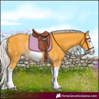 Horse Color:Silver Buckskin Splash Frame 