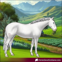 Horse Color:Silver Smoky Creme Tobiano 
